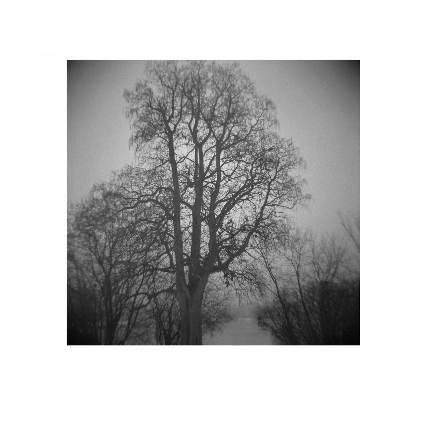 Toy camera image by Olga Janina